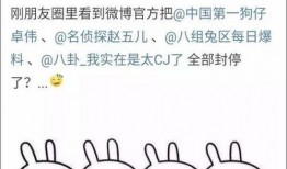 娱乐吃瓜文章大全,吃瓜文章大全，带你领略明星幕后故事