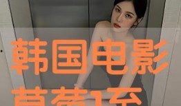 韩国电影手机在线观看,指尖上的光影之旅