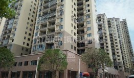 新宇星城爆料视频曝光,神秘项目背后真相曝光