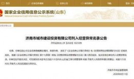 城投公司谁爆料的啊最新消息,揭秘幕后真相！”