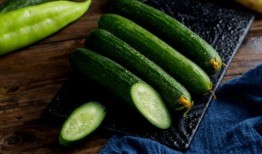 吃瓜黄料入口免费,吃瓜黄料入口，开启你的味蕾盛宴