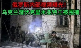 俄罗斯内部爆料视频大全,爆料视频大全深度解析