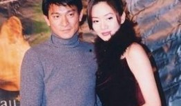 圈内人爆料梅艳芳刘德华,揭秘娱乐圈的传奇情谊与辉煌岁月”