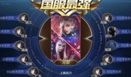 国服王者最新爆料视频