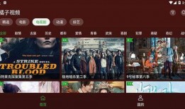 最新爆料八卦视频下载,八卦视频背后的惊人真相！