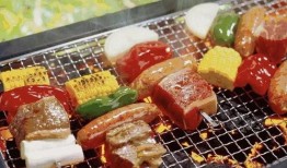 自助烧烤爆料视频教程,烧烤达人教你轻松掌握自助烧烤技巧