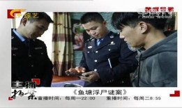 主播拍案在线观看,揭秘网络直播背后的风云变幻