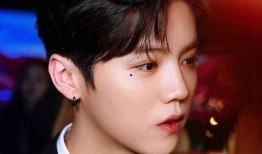 娱乐圈爆料刘诗诗鹿晗,甜蜜恋情曝光，粉丝沸腾！