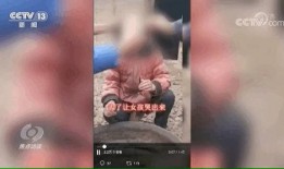 卖惨爆料视频大全最新,情感陷阱与网络舆论的较量
