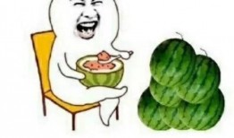 娱乐圈的吃瓜后果是什么