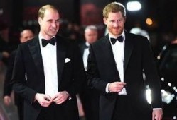 威廉王子酒吧爆料视频,独家视频揭秘惊人内幕