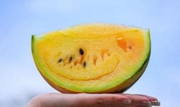 吃瓜黄料入口免费,吃瓜黄料入口，开启你的味蕾盛宴