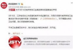 外婆家爆料视频,一场家庭矛盾的激化与反思