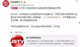 外婆家爆料视频,一场家庭矛盾的激化与反思