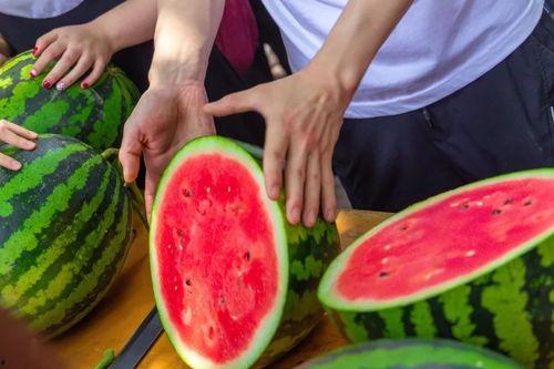 鱼娱乐吃瓜,揭秘娱乐圈那些不为人知的幕后故事